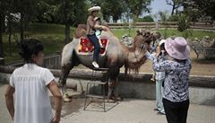 Vechny tyto dary jsou v pchjongjangské zoo peliv vypoítány, aby bylo...