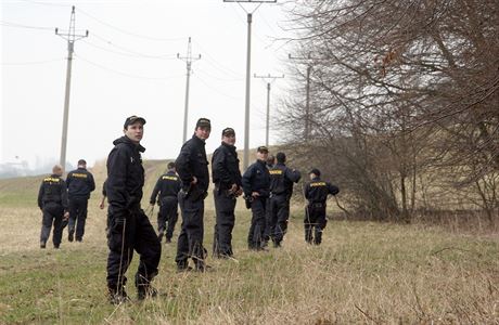 Policisté pátrají v nepehledném terénu (ilustraní foto)