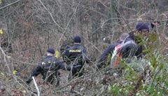 Policisté pátrají v nepřehledném terénu (ilustrační foto) | na serveru Lidovky.cz | aktuální zprávy