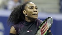 Serena Williamsov se zapsala 306. vtzstvm na grandslamu do historie.