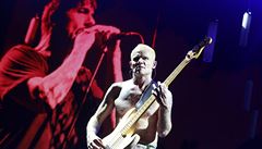 Red Hot Chili Peppers, Praha, O2 Arena, 4. záí 2016 (Flea)