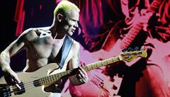 Red Hot Chili Peppers, Praha, O2 Arena, 4. záí 2016 (Flea)