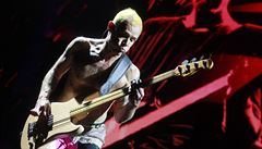 Red Hot Chili Peppers, Praha, O2 Arena, 4. záí 2016 (Flea)