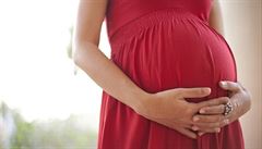 České ženy by měly v těhotenství více abstinovat