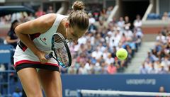Skvělá Plíšková vyřadila Venus Williamsovou a je ve čtvrtfinále US Open
