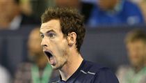 Andy Murray v semifinále Davis Cupu proti Argentině.