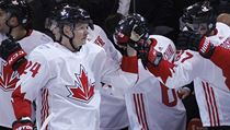 Světový pohár hokejistů - zámořské derby Kanada vs. USA (radost Perryho).