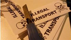 Skupina praských taxiká vylepovala samolepky s nápisem Illegal Transport na...