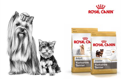 Sout o granule Royal Canin