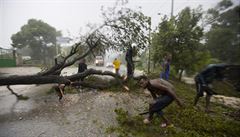 Lidé na Haiti odstraují ze silnic popadané stromy.