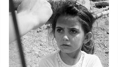 Dívka ekající v kosovu na prjezd vozidel s humanitární pomocí.