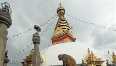 Kdy jsem sám chodil po Kathmánd, nepálské metropoli, byla jet více na rok...