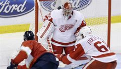 Gólman Petr Mrázek (Detroit Red Wings) pi zákroku proti stele Aarona Ekblada...