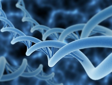 Genom (ilustraní foto)