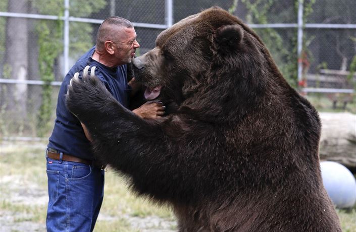 Jaký je největší medvěd?