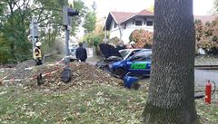 �t�stí m�l �idi� (zády v modrém) osobního vozu. St�et s vlakem p�ekonal bez...