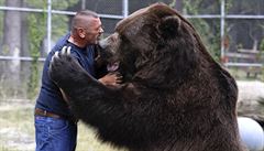 Americký peovatel Jim Kowalczik si hraje s medvdem kodiakem jménem Jimbo,...