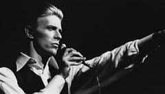 Britsk pota vydv na poest Bowieho ojedinlou sadu znmek
