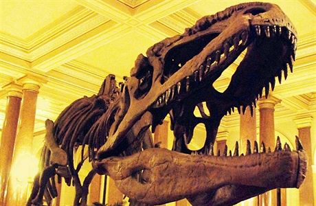 Mongolsko chce získat zpět uloupené dinosaury | Zajímavosti | Lidovky.cz