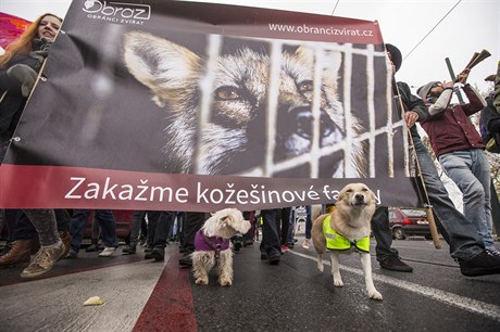 Demonstranti protestovali v Praze proti koeinovým farmám.