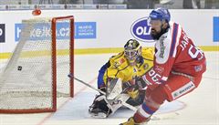 Hokejový turnaj Karjala, souást Euro Hockey Tour, R - védsko. Richard...