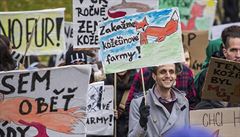 Demonstranti protestovali v Praze proti koeinovým farmám.