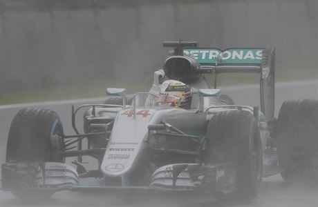 Lewis Hamilton slav vtzstv v GP Brazlie.