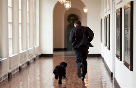 Prezident utk s novm prezidentskm psem Bo. Dostali jej prezidentovy dcery...