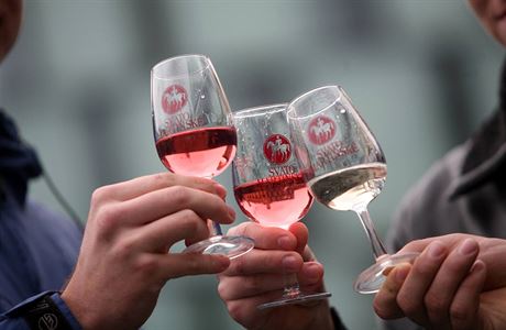 Svatomartinské víno roník 2009 pedstavili jihomoravtí vinai také na...