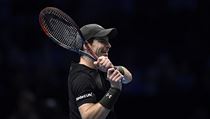 Andy Murray na Turnaji mistr