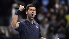 Novak Djokovič slaví vítězství nad Dominikem Thiemem na Turnaji mistrů. | na serveru Lidovky.cz | aktuální zprávy