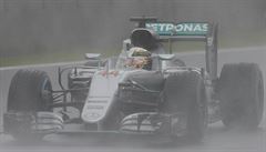 Lewis Hamilton slaví vítzství v GP Brazílie.