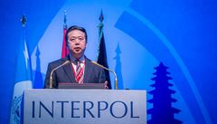 Novm prezidentem Interpolu je an. Je to znepokojiv, tvrd obrnci prv