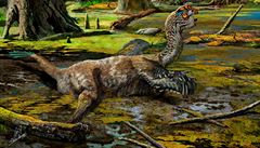 Čínští dělníci dynamitem odkryli zkamenělinu neznámého dinosaura