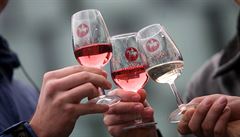 Vinaři letos uvedou na trh přes dva miliony lahví Svatomartinského vína