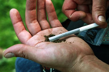 Mladí Češi holdují marihuaně (ilustrační foto).