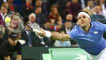 Argentinec Del Potro se natahuje po mku v zpase s Chorvatem iliem.