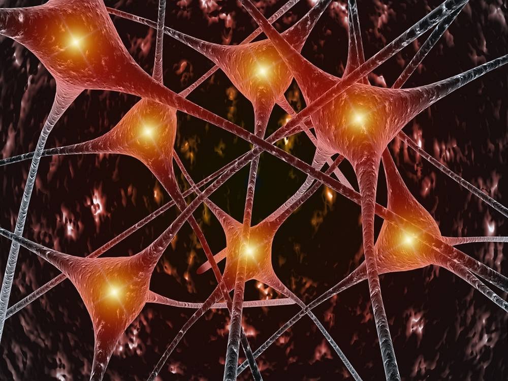 Neurony