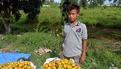 Chlapec prodává ovoce na Sumate