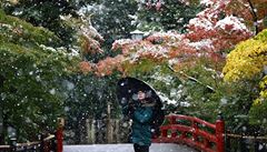 Okrasné japonské zahrady poblí Tokia zasypal sníh. Na snímku zahrady u...
