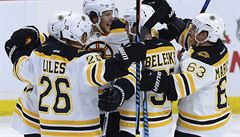 David Pastrák (Bostron Bruins) oslavuje svj gól se spoluhrái v zápase proti...