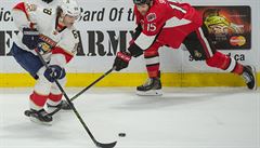 NHL: Jgr ukonil ekn na gl. Hanzal s asistenc Vrbaty rozhodl prodlouen