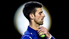 Kategorie Sport, série: Nole