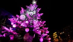 Vánoní strom v Brn je letos ladný do rové barvy.