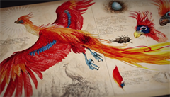 Ilustrace Jima Kaya zobrazující ptáka fénixe.