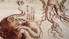 Ilustrace Jima Kaya zobrazující vývoj mandragory.