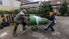 eské firmy zaaly s distribucí a prodejem vánoních stromk.