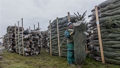 V zahradnictví Baobab v Únticích jsou na sezonu pipraveni.