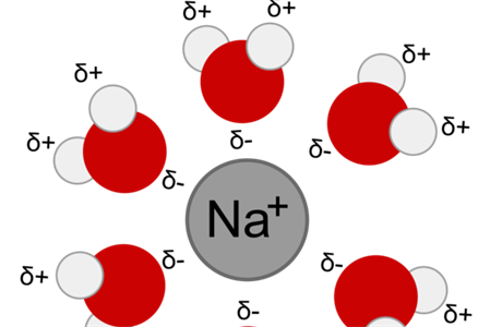 Bhem hydratace se sodný kation (uprosted) obaluje molekulami vody (erven...