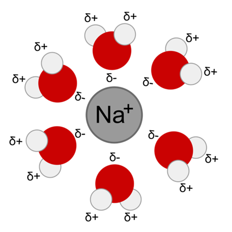 Bhem hydratace se sodný kation (uprosted) obaluje molekulami vody (erven...